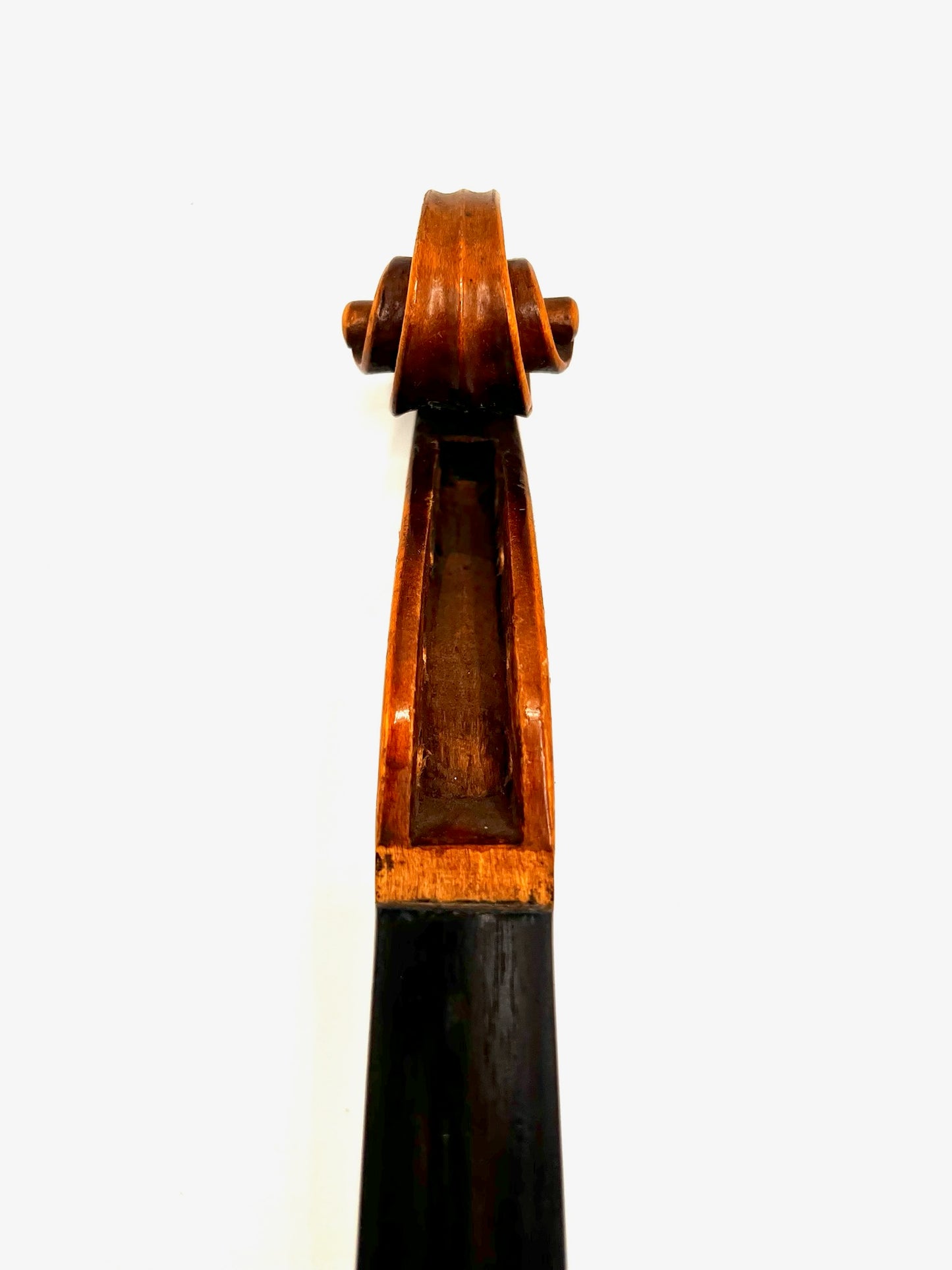 Violino Antonius Stradivarius Cremonensis (Faciebat Anno 1713)