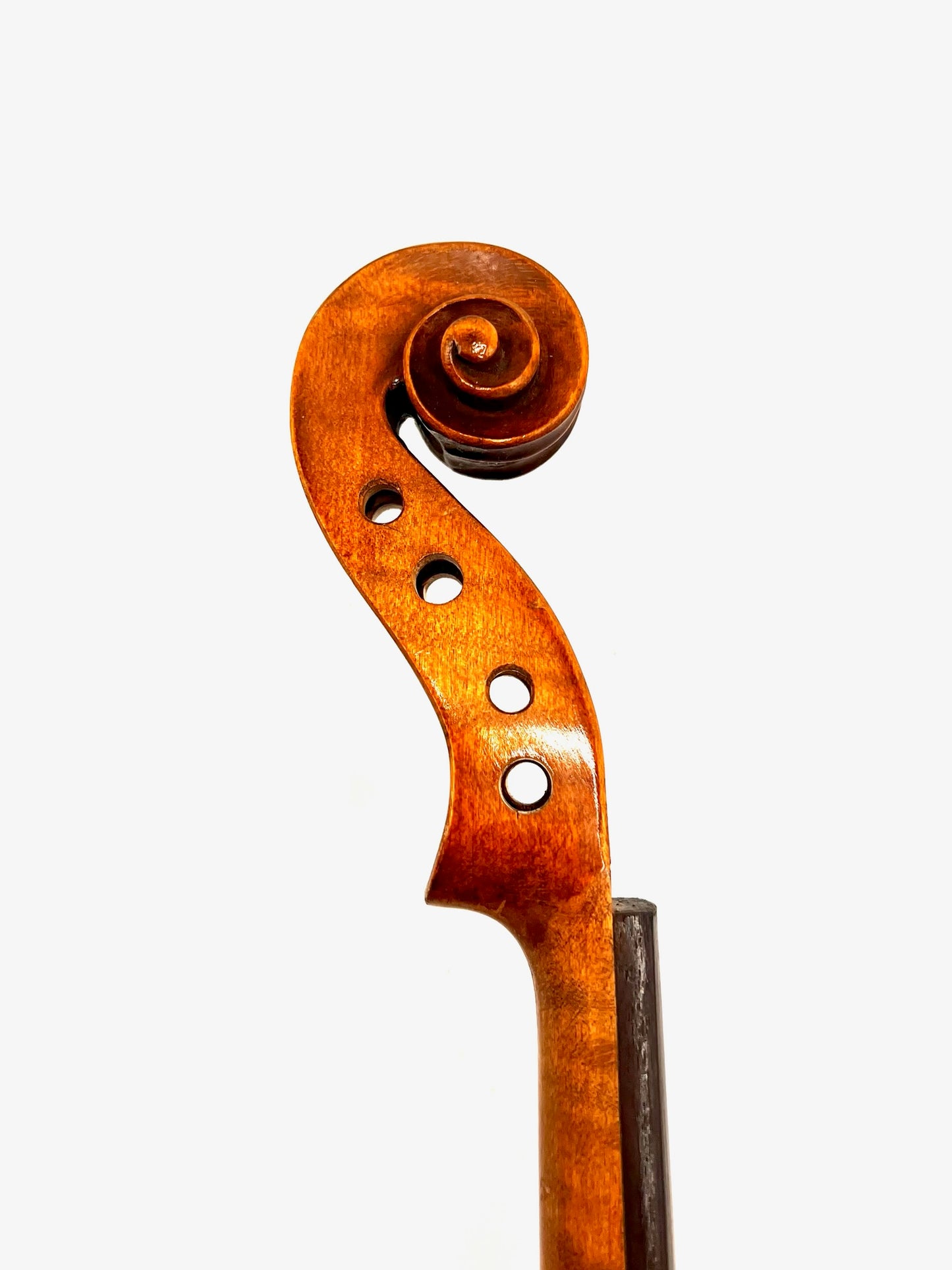 Violino Antonius Stradivarius Cremonensis (Faciebat Anno 1713)