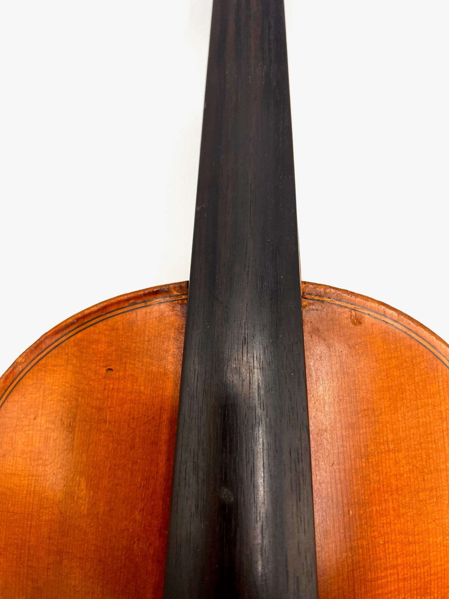 Violino Antonius Stradivarius Cremonensis (Faciebat Anno 1713)