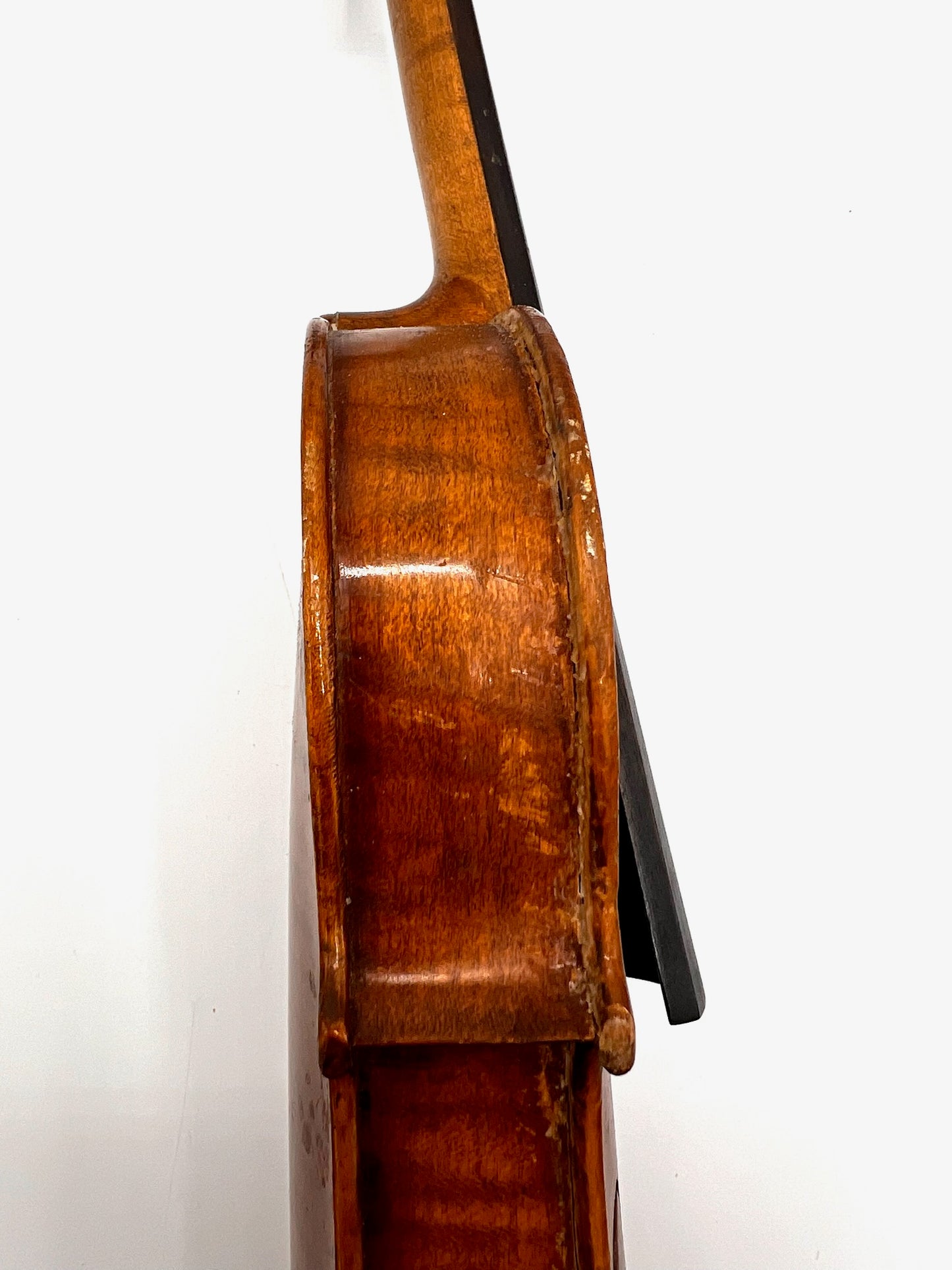 Violino Antonius Stradivarius Cremonensis (Faciebat Anno 1713)