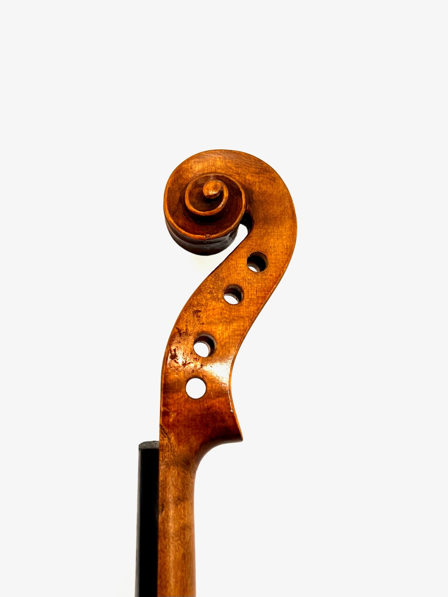 Violino Antonius Stradivarius Cremonensis (Faciebat Anno 1713)