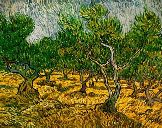 Uliveto (ispirato a Vincent van Gogh) – Pittura ad olio post-impressionista dipinta a mano su tela (70 × 100 cm)