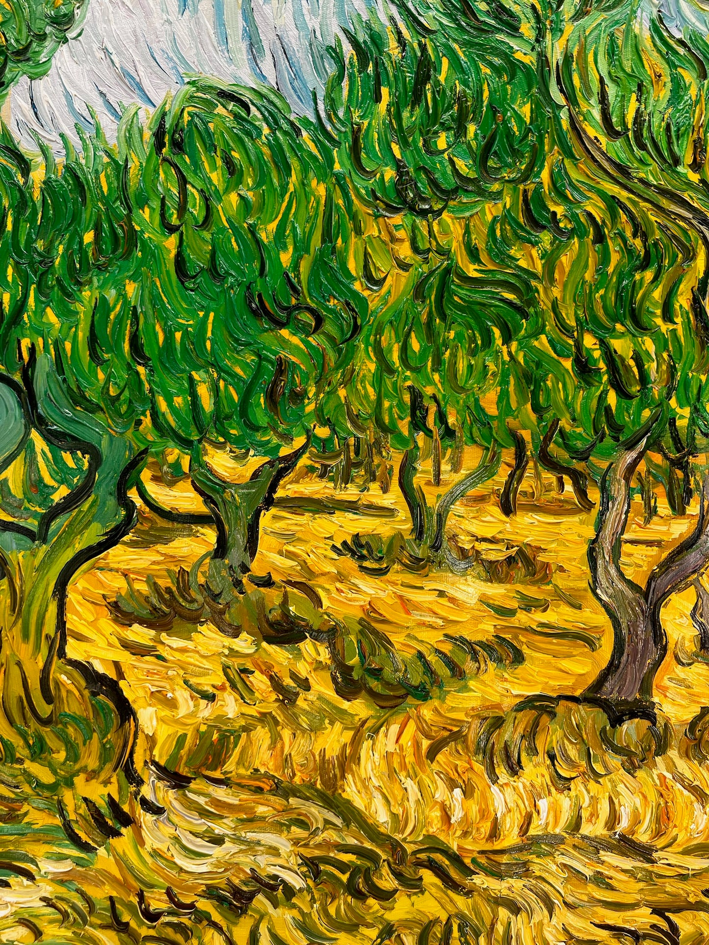 Uliveto (ispirato a Vincent van Gogh) – Pittura ad olio post-impressionista dipinta a mano su tela (70 × 100 cm)