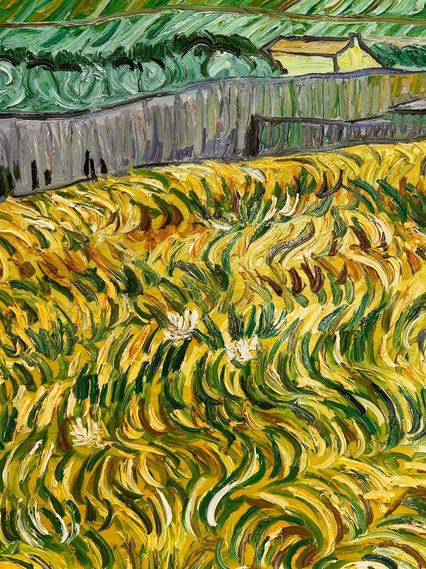 Dipinto ad olio dipinto a mano di Van Gogh: Paesaggio dietro l'ospedale Saint-Paul (70 × 88,1 cm tela arrotolata)